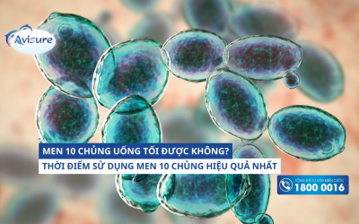 Men 10 chủng uống tối được không?